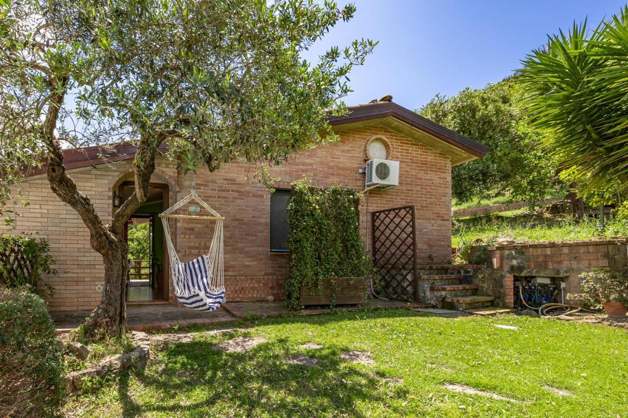 Vineyard Dependance With Shared Pool - Happy Rentals Casal Velino Zewnętrze zdjęcie